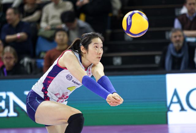 b体育官网首页-女排23人世联赛名单朱婷在列 确认回归or个人决定